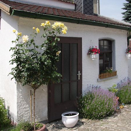 3 Seiten Ferienwohnung جينا المظهر الخارجي الصورة