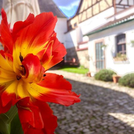 3 Seiten Ferienwohnung جينا المظهر الخارجي الصورة